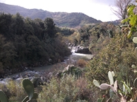 cantara gurne23122011 126